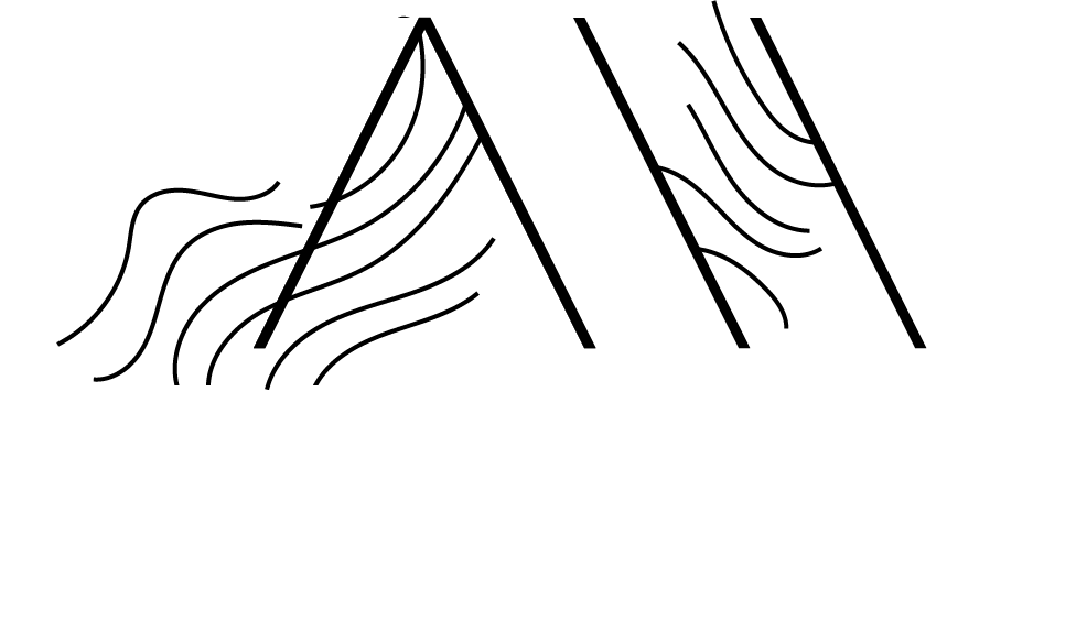 Tenth Mountain